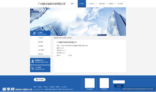數(shù)字時(shí)代的企業(yè)形象與界面設(shè)計(jì) 從官網(wǎng)到電商平臺的視覺工程